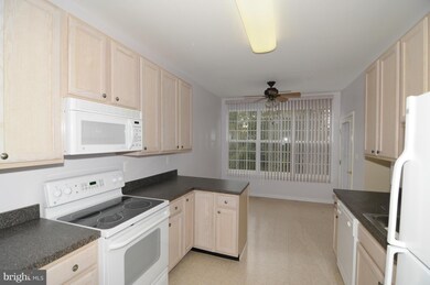 1597 Homeland Dr unit 3E, Sykesville, MD 21784 - photo 3