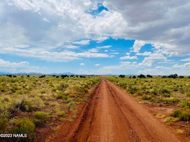 626 N Laguna Dr unit Lot 2, Valle, AZ 86046 - photo 7