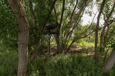 0 Spring Creek 160 Acres unit 25-8120, Memphis, TX 79245 - photo 6