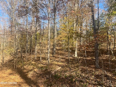 Lot 102 Arrow Head Circle 2