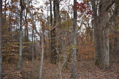 15 Acres N Carolina Highway 704 E, Sandy Ridge, NC 27046 - photo 4