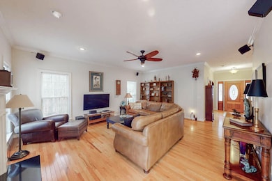 Living Room Ceiling Fan!