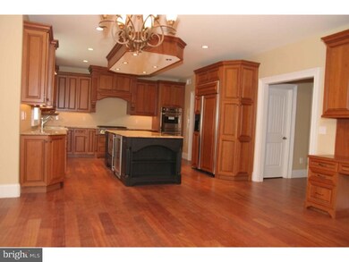 409 Mattrissa Ridge, Media, PA 19063 - photo 5