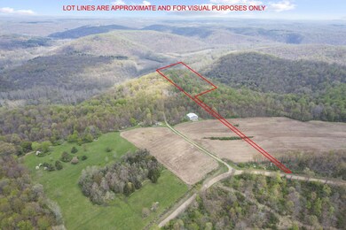 30901 Chestnut Ridge Rd, Danville, OH 43014 - photo 6