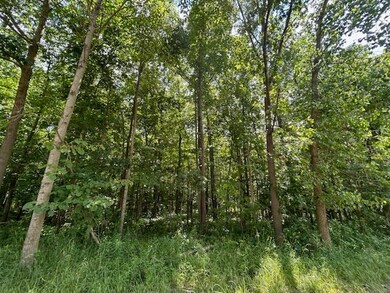 IMG_3855
