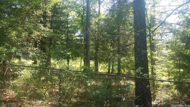 A Shale Ln, Conway, AR 72032 - photo 5