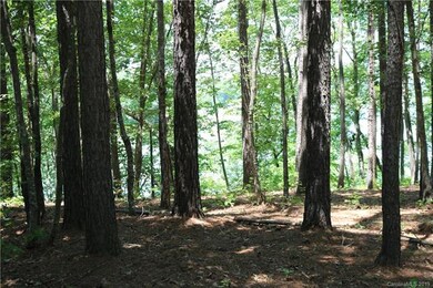 130 Bridgeland Trail unit Lot 4, Statesville, NC 28677 - photo 3