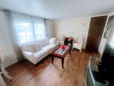 17 Sophie Ave, Dunedin, FL 34698 - photo 5