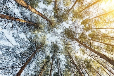 3417 58th St W, Lehigh Acres, FL 33971 - photo 2