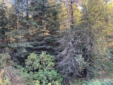 View of woods