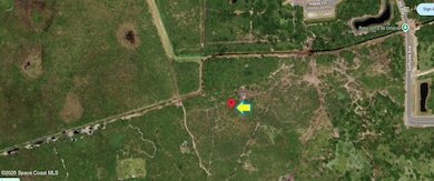 CanaveralGrovesAerial