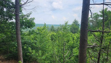 TBD Valley Rd, New Durham, NH 03855 - photo 2