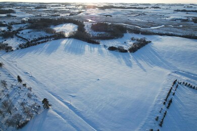 TBD 190th St, Pelican Rapids, MN 56572 - photo 2