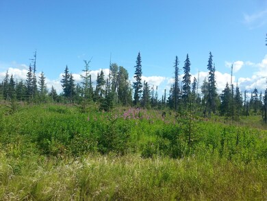 20140729_163917.jpg