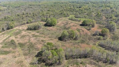 0 Hogfoot Rd unit 161529, Sarah, MS 38668 - photo 5