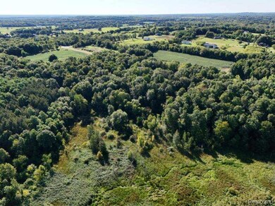 Parcel 4 Sycamore St, Dryden Township, MI 48428 - photo 4