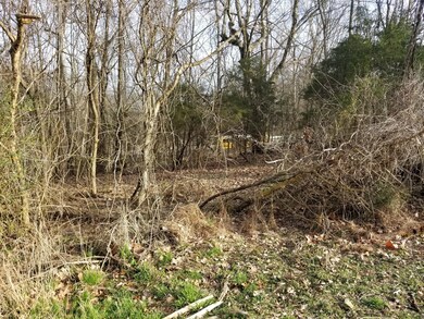 0 Orr St unit 2124531, Manchester, TN 37355 - photo 3