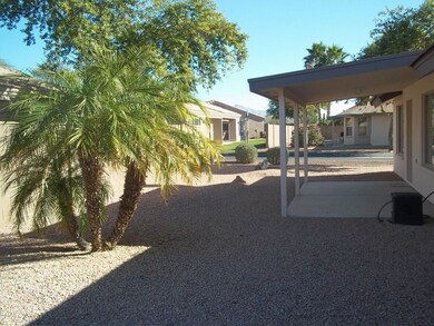 BACK  YARD