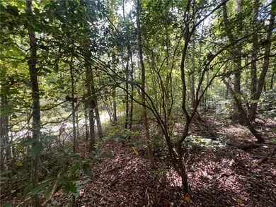 Tract 1-B C H 66, Tamassee, SC 29686 - photo 4