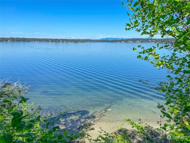 12808 Drayton Rd, Anderson Island, WA 98303 - photo 4