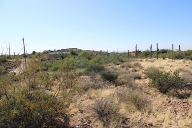 IMG_0378
