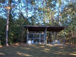 4625 Howard Rd, Pavo, GA - photo 7