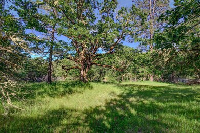 0 Castle Terrace Dr, Central Point, OR 97502 - photo 3