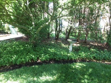 37 Rublee St, Arlington, MA 02476 - photo 7