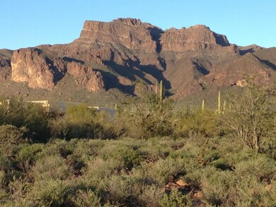 VIEW FROM LOT