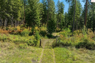 NKA Adit Ln 20 Acres, Bonners Ferry, ID 83805 - photo 6