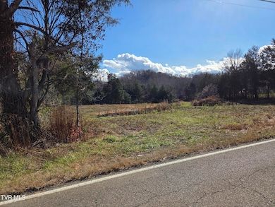 355 N Austin Springs Rd, Piney Flats, TN 37686 - photo 3