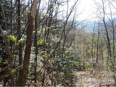 0 Anglers Ridge unit B1, B2,B3,B4, Waynesville, NC 28786 - photo 5