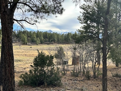 46 Marmot Ct unit 121, Ridgway, CO 81432 - photo 7