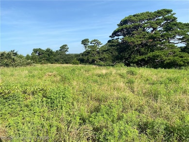 Tract 3 E1250 Rd, Whitefield, OK 74462 - photo 3