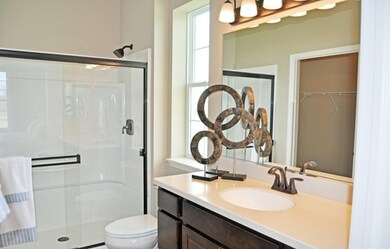 4 Sable Ln, Algonquin, IL 60110 - photo 5