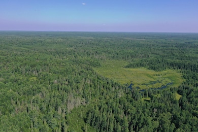 8124 Virginia Ely Rd, Babbitt, MN 55706 - photo 7