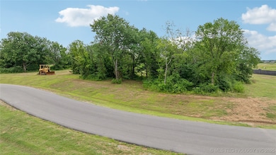 11041 S 216th East Ave, Broken Arrow, OK 74014 - photo 6