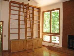 Library Ladder