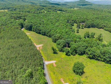 0 Arthur Allen Rd unit 10646087, Cleveland, GA 30528 - photo 4