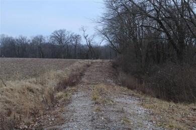8150 Jacks Run Rd, Freeburg, IL 62243 - photo 2