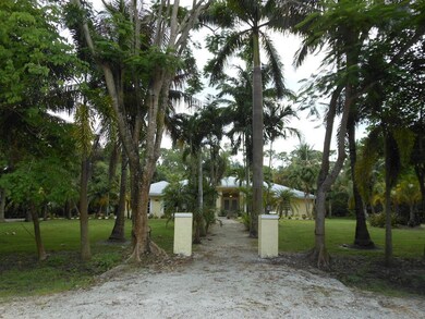 Tree Lined Walkway