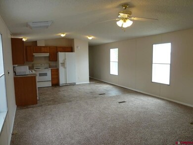 0 NW 2nd St unit 732475, Cedaredge, CO 81413 - photo 5