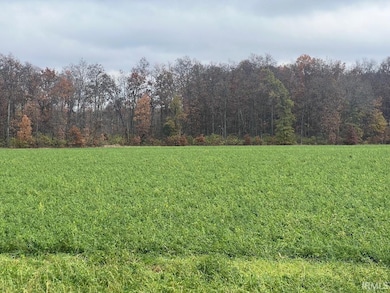 7007 S 200 E Lot 1 Rd, Lafayette, IN 47909 - photo 2