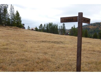 0 E Tabor, Granite, OR 97877 - photo 5