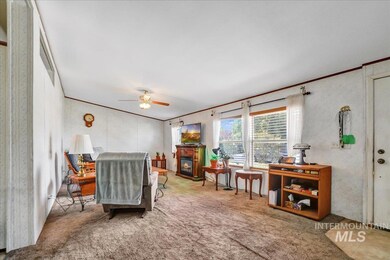 Living area featuring ceiling fan, carpet, a glass covered fireplace, and crown molding