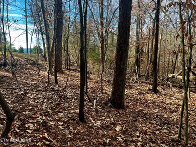 2005 Tahlequah Lane