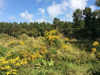 999 Hwy 436 None, Franklinton, LA 70438 - photo 7