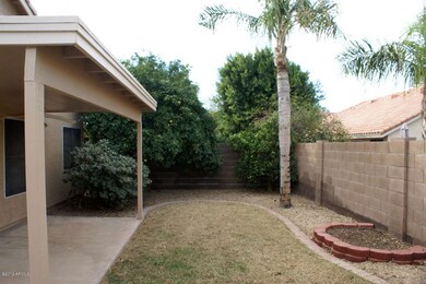 Backyard 1