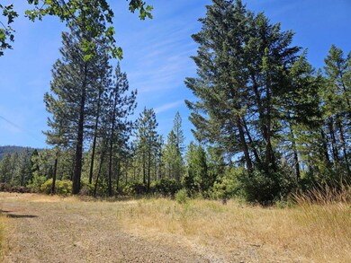 1050 Lone Mountain Rd, O'Brien, OR 97534 - photo 2