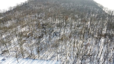 0 N Little John Ln unit LotWP001, Muncie, IN 47302 - photo 2